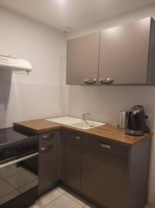 Appartement Sur La Place De Poncin מראה חיצוני תמונה